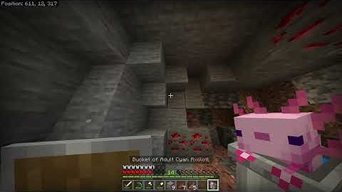 cute axolotl bucket texture pack