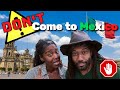 Don't Move to Mexico