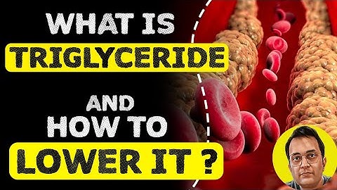 Triglycerides, what are they? Cholesterol test explained. (English)