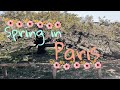 VLOG Spring in Paris / Fairy Gardens, Sustainable farming, Coconut Lattes