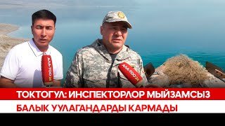 видео: Токтогул: Инспекторлор мыйзамсыз балык уулагандарды кармады картинка: Токтогул: Инспекторлор мыйзамсыз балык уулагандарды кармады