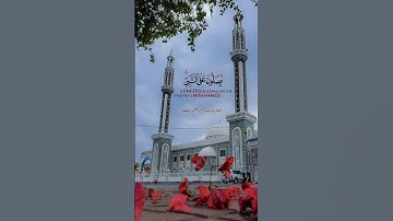 إن الله وملائكته يصلون على النبي... تلاوة تفيض جمالاً لا توصف 💞 القارئ عبد الرحمن مسعد Quranالقرآن🎧😴