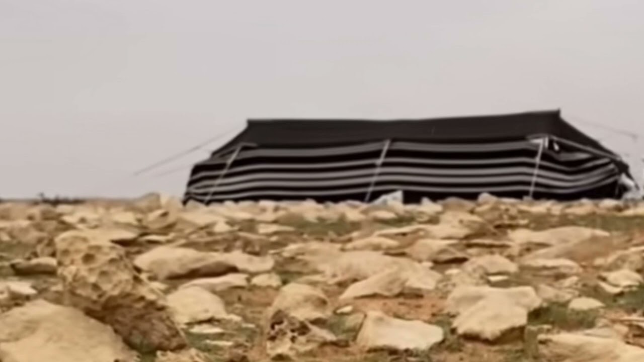 سالفة  شيخ من حرب الي راح يخطب وحصل الغريب 