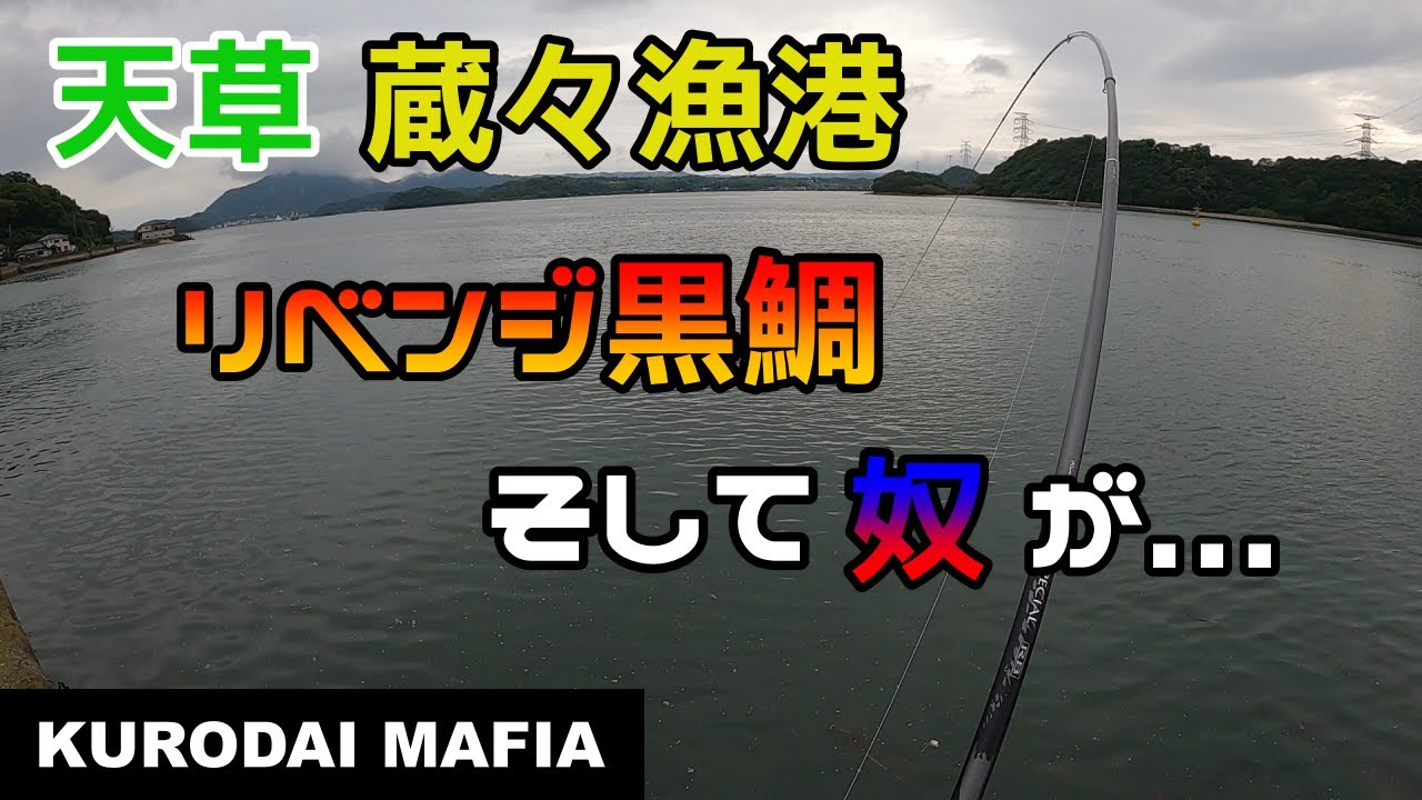【天草】蔵々漁港で『リベンジ黒鯛』成功。そして奴も...。