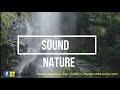 Nature sound