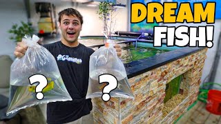 Buying My DREAM FISH for SALTWATER REEF POND!!