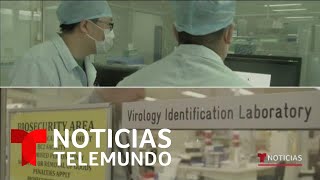 Alertan Sobre Noticias Falsas Divulgadas En Redes Sociales Sobre El Coronavirus Noticias Telemundo