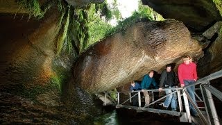 Te Anau Glowworm Caves - Real Journeys, New Zealand