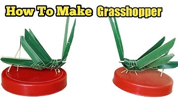 How To Make A Grasshopper With Coconut Leaves // Coconut Leaf Crafts