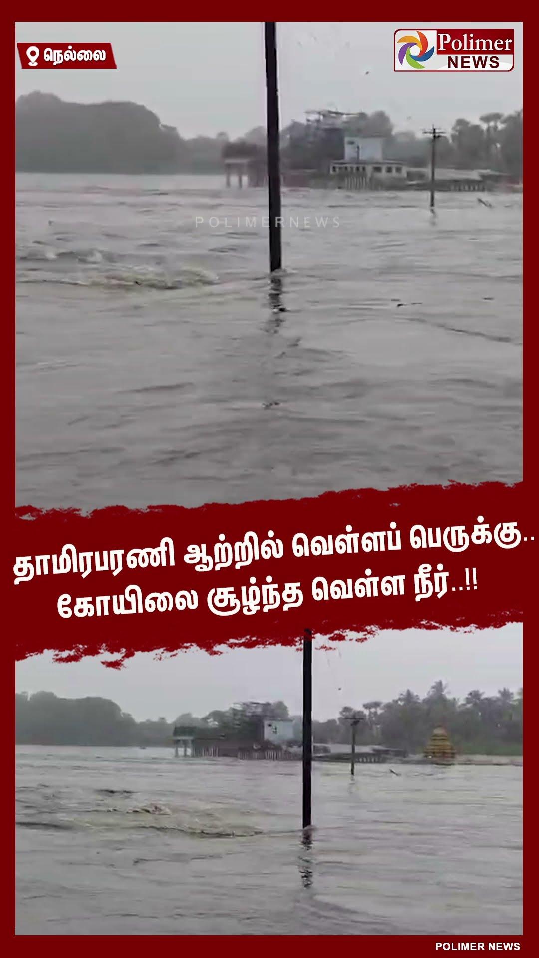 தாமிரபரணி ஆற்றில் வெள்ளப் பெருக்கு..கோயிலை சூழ்ந்த வெள்ள நீர்..!! #shorts