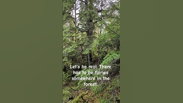 Thumbnail of I love rainy forests :) #forest #fairies #Writing #Imagination #Fantasy #reality #shorts #writers