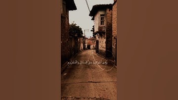 القرآن الكريم للقارى علي جابر| حالات واتس اب قران | ايات قرانيه قصيره | ستوريات بدون حقوق❤️.