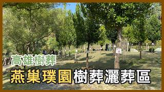 高雄樹葬、灑葬丨燕巢璞園樹葬區實地帶看與介紹 回歸自然的永恆陪伴 -高雄生命禮儀公司萬事達