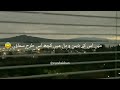 کوئی ایسا اہل دل ہو      