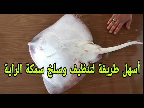 طريقة تنظيف وسلخ سمك الراية