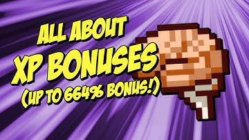 All Character Creation XP Multipliers