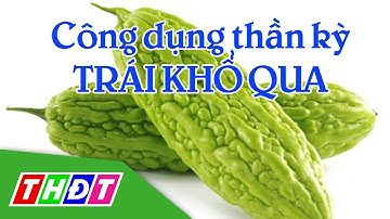 Công dụng của trái khổ qua | Sống khỏe | THDT