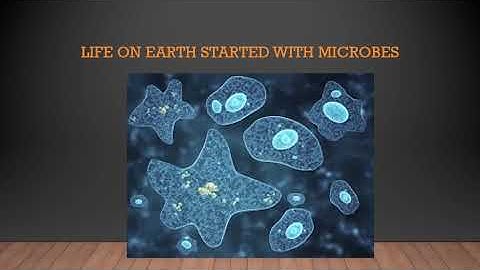 4TH STANDARD/ GENERAL SCIENCE/ CHAPTER 9/ MICROBES /VIDEO 22