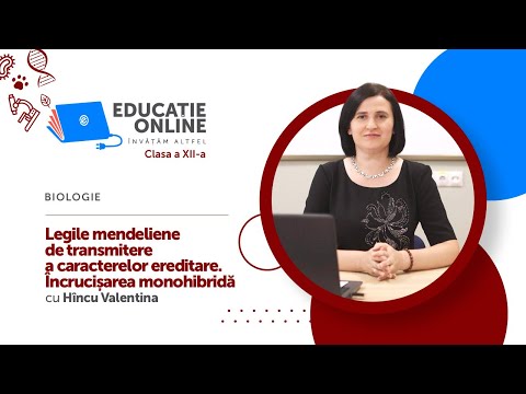 Video: Studiul Caracterelor