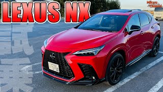 新型LEXUS NX 350がカッコよすぎる！【レクサス】