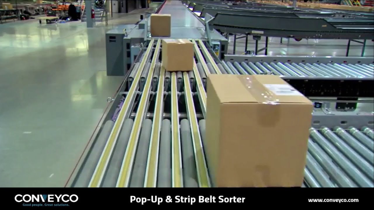 Pop Up Sorter & Strip Belt Sorter - Conveyor