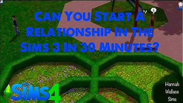 Can You Speed Run A Relationship in The Sims 3?