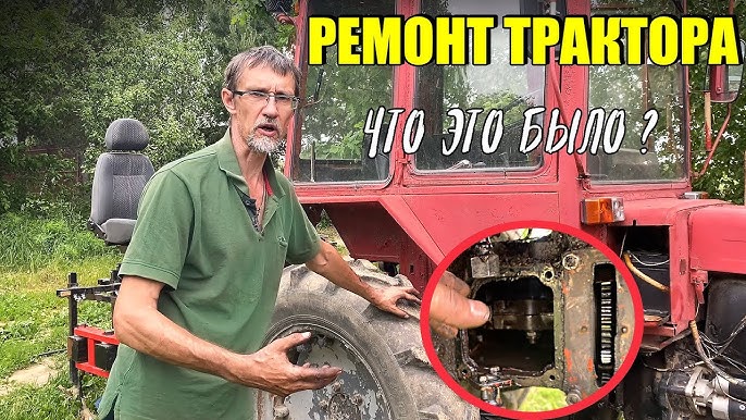 Бауырлар мен әпкелердің порно видеосы