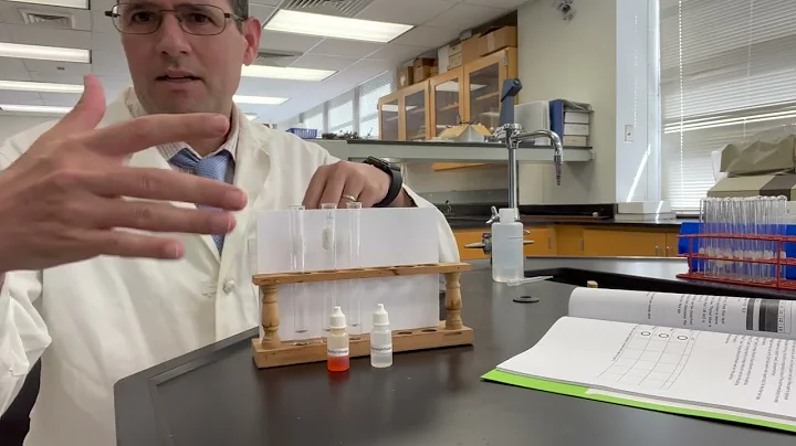 Lab 6 hydrochloric acid pH tests
