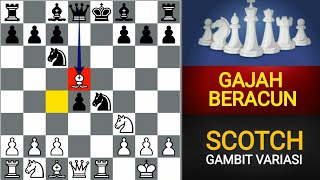 PEMBUKAAN CATUR MEMATIKAN TERBAIK PUTIH