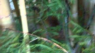DSCF0451