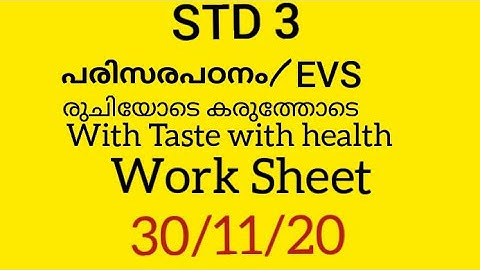 KITE VICTERS STD 03 Environmental Studies Work Sheet November 30