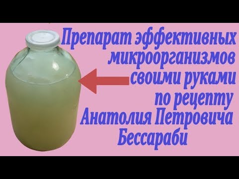 Препарат эффективных микроорганизмов по рецепту Анатолия Петровича Бессараби