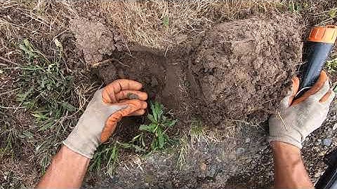 LIVE DIG ACTION!! Simplex SP24 at the clad/iron permission,