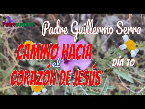 ᐅ CAMINO HACIA EL CORAZÓN DE JESÚS | Día 10 - Gratitud con el PADRE GUILLERMO SERRA