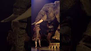 Circus 1903 Returns to Dubai! 🎪 | 20–22 June at Coca-Cola Arena | PME Entertainment #Circus1903