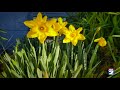 City Beat - SPRING PHOTO ESSAY