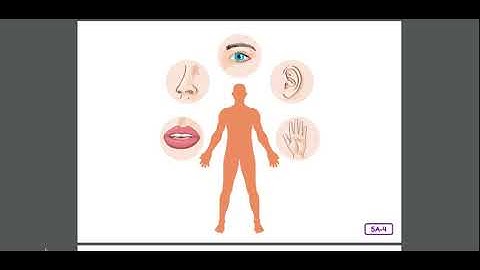 Unit 3 Lesson 5 L & L