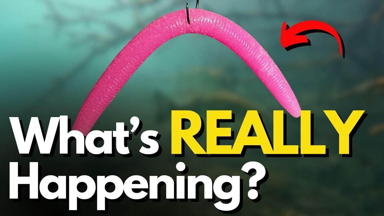 4 Hidden Truths About Our Bass Fishing Lures (Underwater Examples)