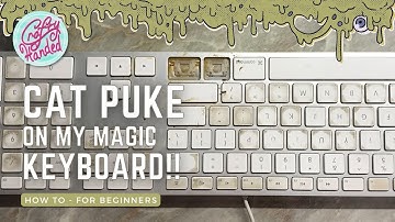 How to clean the old Apple Magic Keyboard from liquids