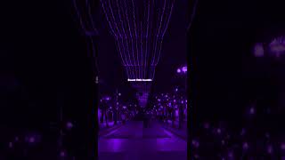 Bumble Bee - Bambee Lyrics Aesthetic Whatsapp Status English Songs Slowed Speed Up