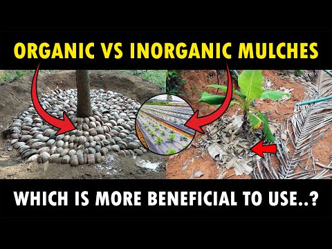 Video: Hom Inorganic Mulch - Cov txiaj ntsig thiab qhov tsis zoo ntawm Inorganic Mulch