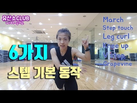 Lesson50. Step box 6 basic actions|diet workout