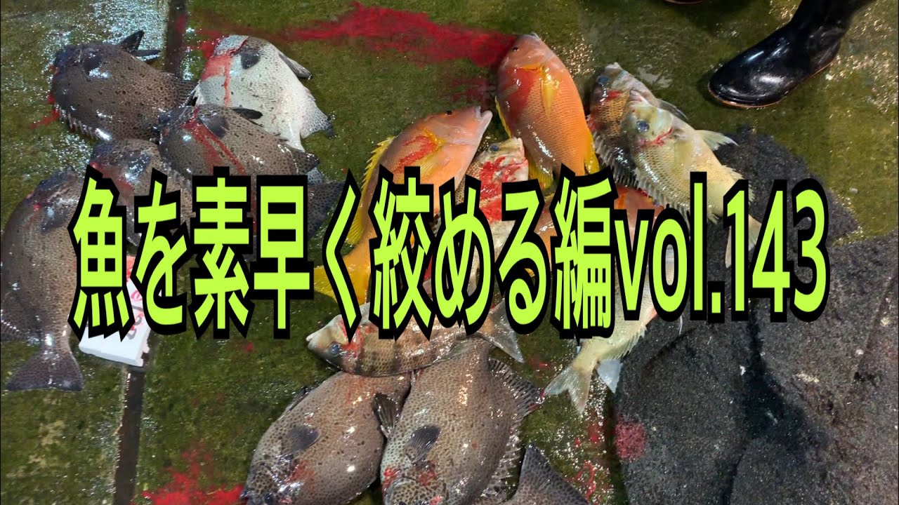 津本式 究極の血抜き 実演会の動画を公開 鹿児島谷山店 かめや釣具 津本式 究極の血抜き 実演会の動画を公開 鹿児島谷山店 かめや釣具