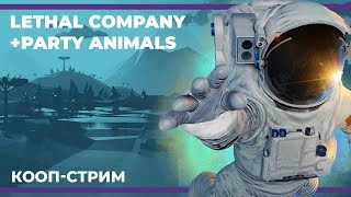 картинка: Кооп c Куплиновым и БлэкУфой | Lethal Company и соло Party Animals (11.11.2023)