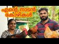 എന്റെ ചെറിയ നാടൻ കോഴി വളർത്തൽ സംരഭം| Nadan kozhi | Chicken Farm Kerala [Agri Tech Media]