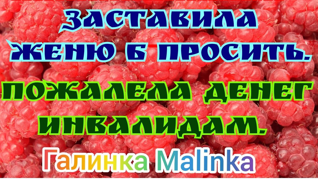 Галинка малинка дзен изображение 112