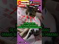 Kucing ini buta  #trending #kucing #ai #cat #musicclip #animals #music #catlover #arabic #kucinglucu