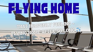 Download Lagu 🎉 That Heavenly Feeling Flying Home After So Long | Emotional Travel Vlog ✈️🇱🇰 MP3