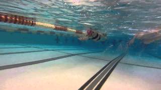 Jan 12th Swim - SBR Masters at Mid County YMCA