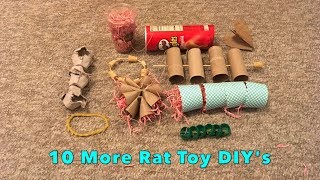 10 Cool DIY Rat Toys!